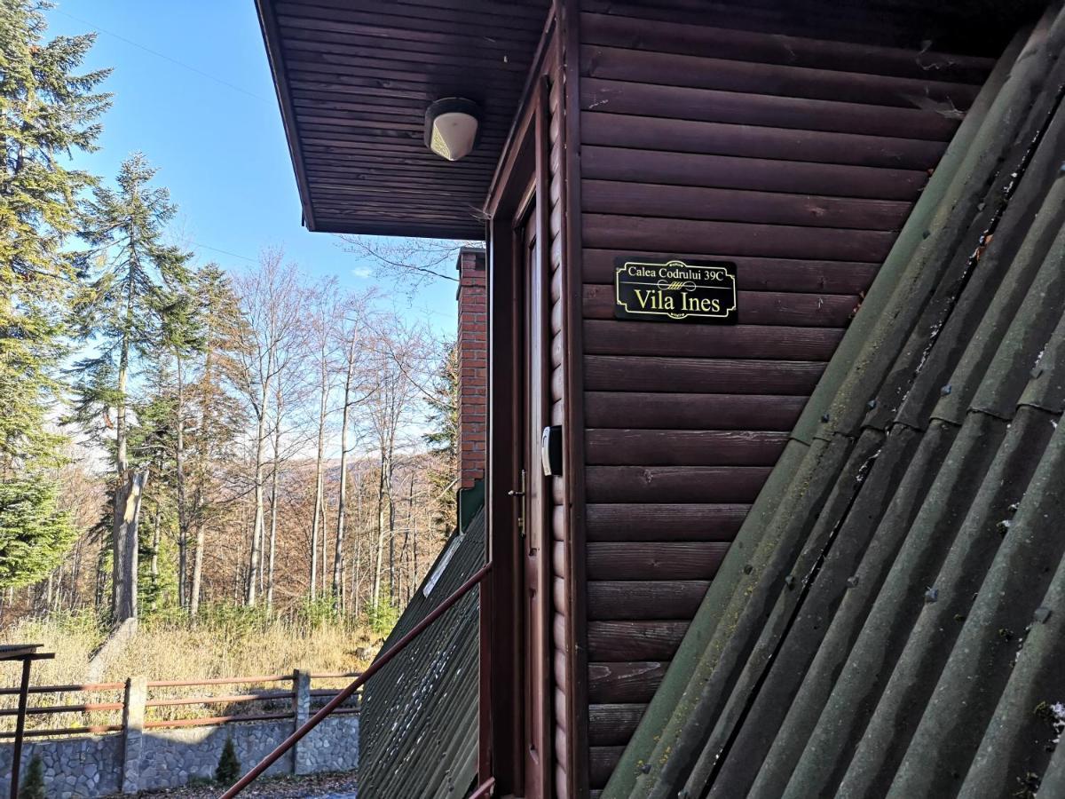 Vila Ines Сіная Екстер'єр фото